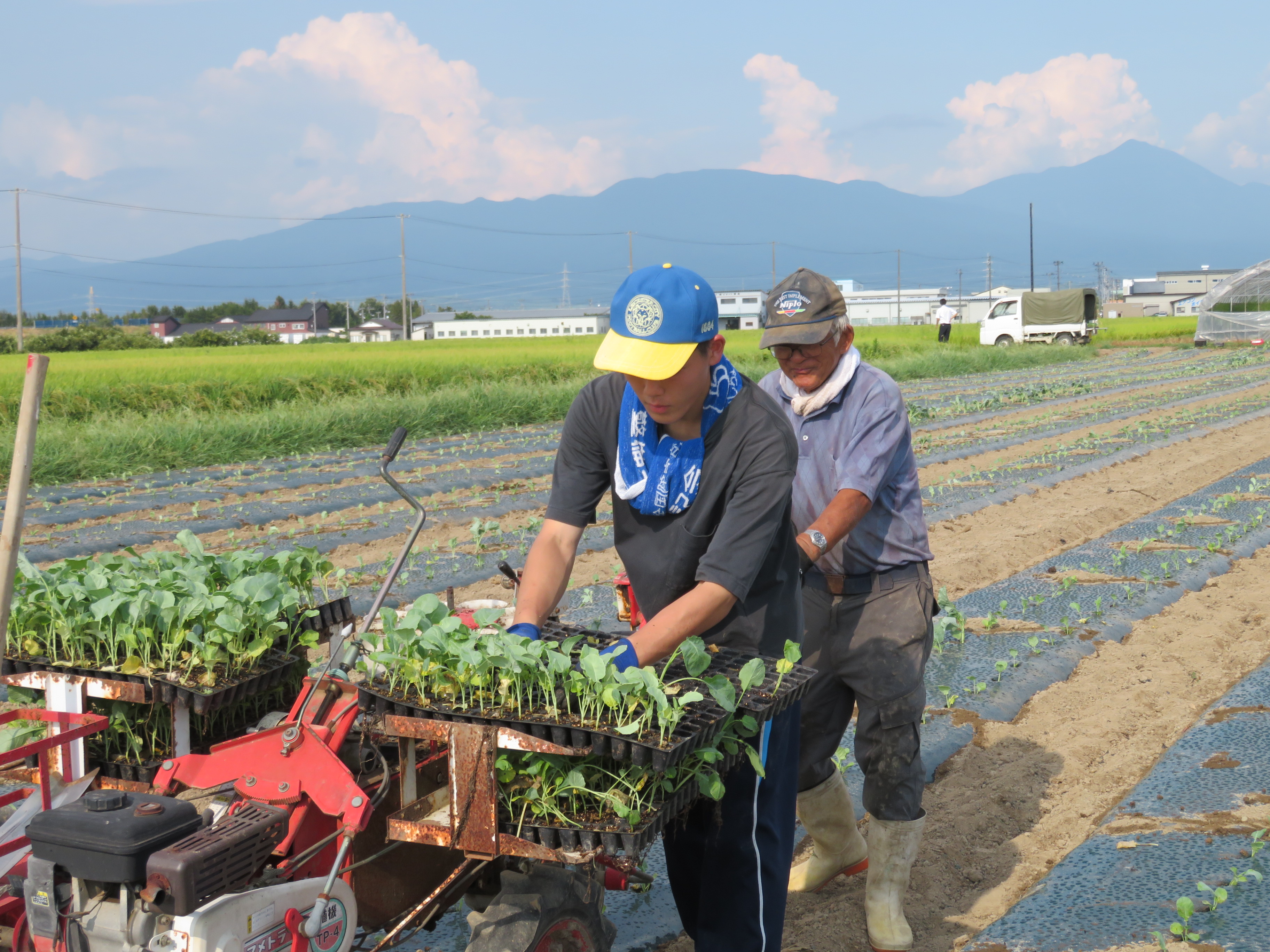 明治大学「楽農」4Hクラブ ワーキングホリデー | 会津若松市